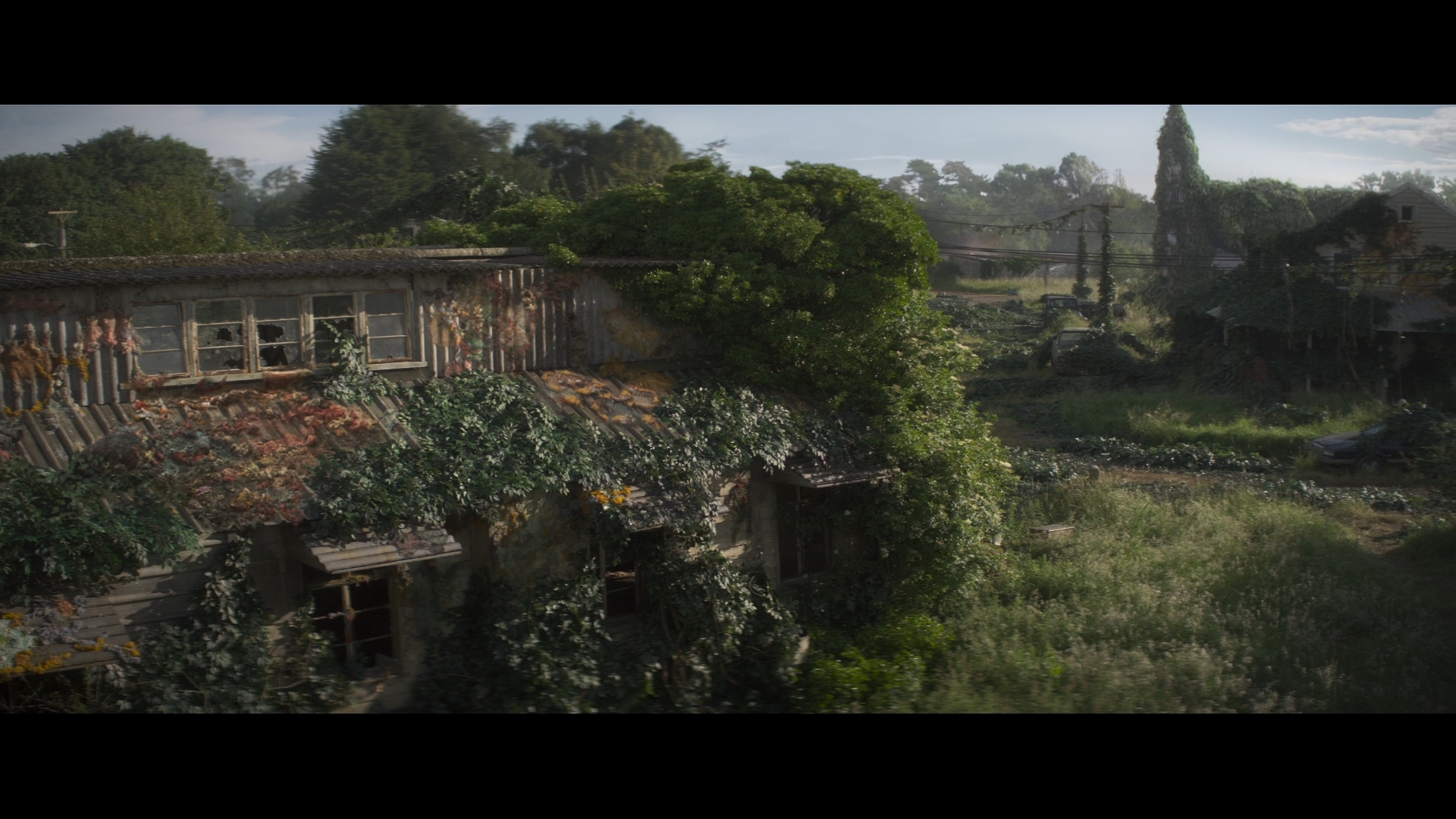 Annihilation 4K UHD Blu-ray Review