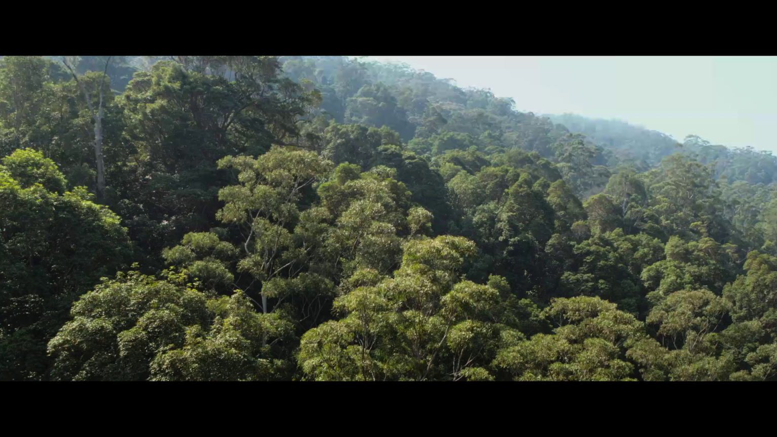 4K UHD & Bluray Reviews Black Water Abyss Bluray Review