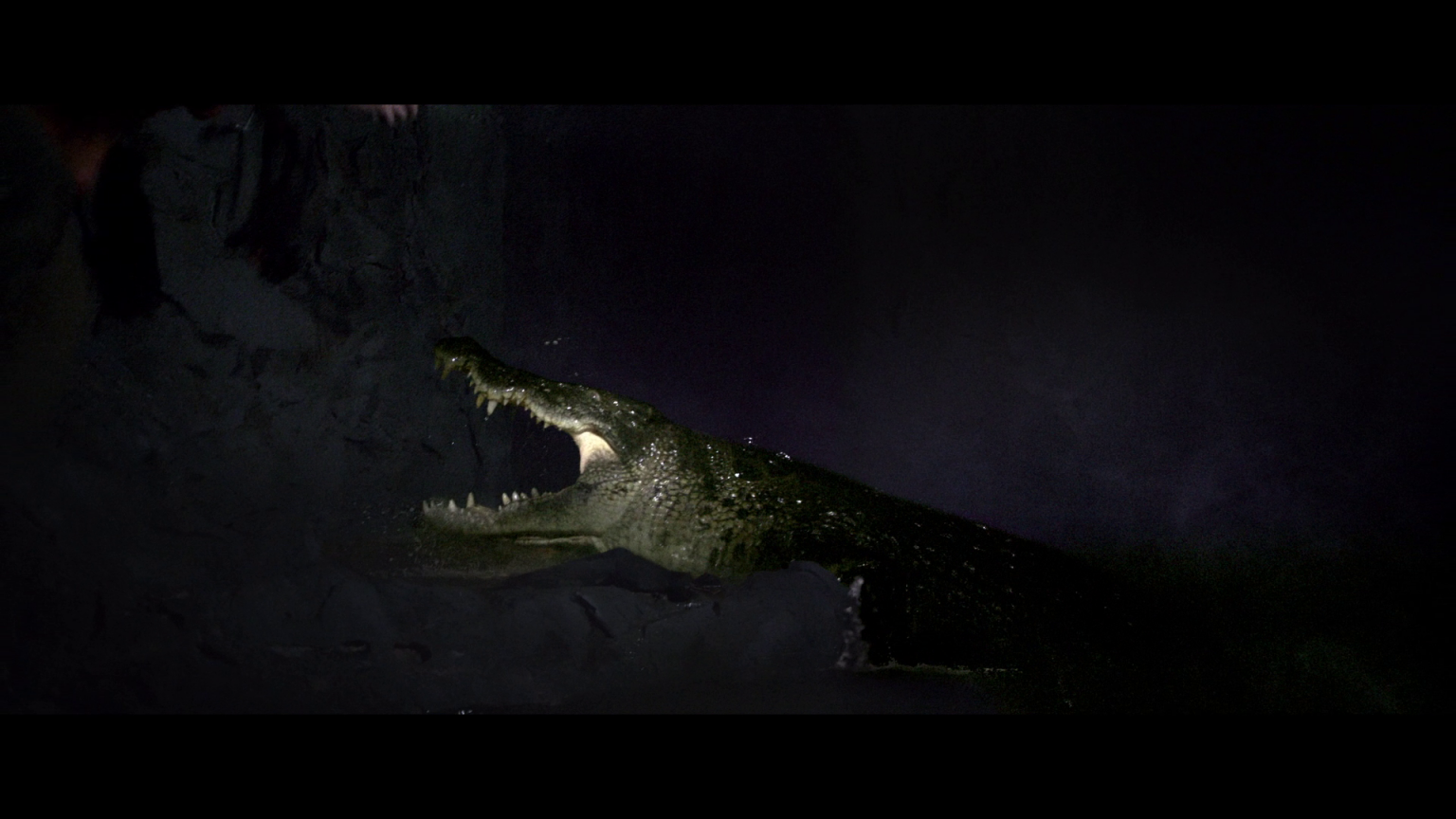 4K UHD & Bluray Reviews Black Water Abyss Bluray Review