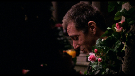 DoBlu – 4K UHD & Blu-ray Reviews The Godfather Coda Blu-ray Review