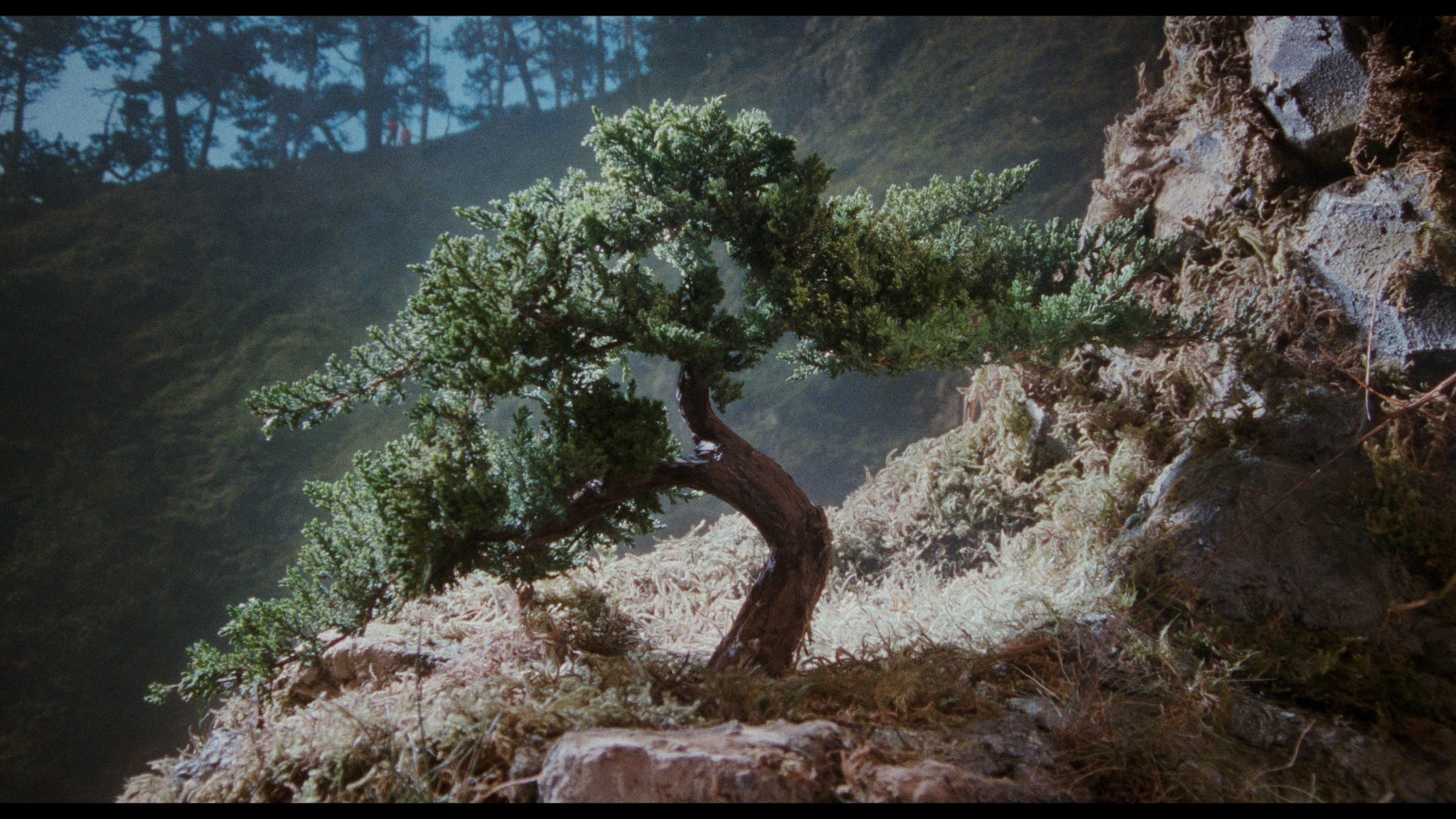 DoBlu.com – 4K UHD & Blu-ray Reviews | The Karate Kid Part III 4K UHD