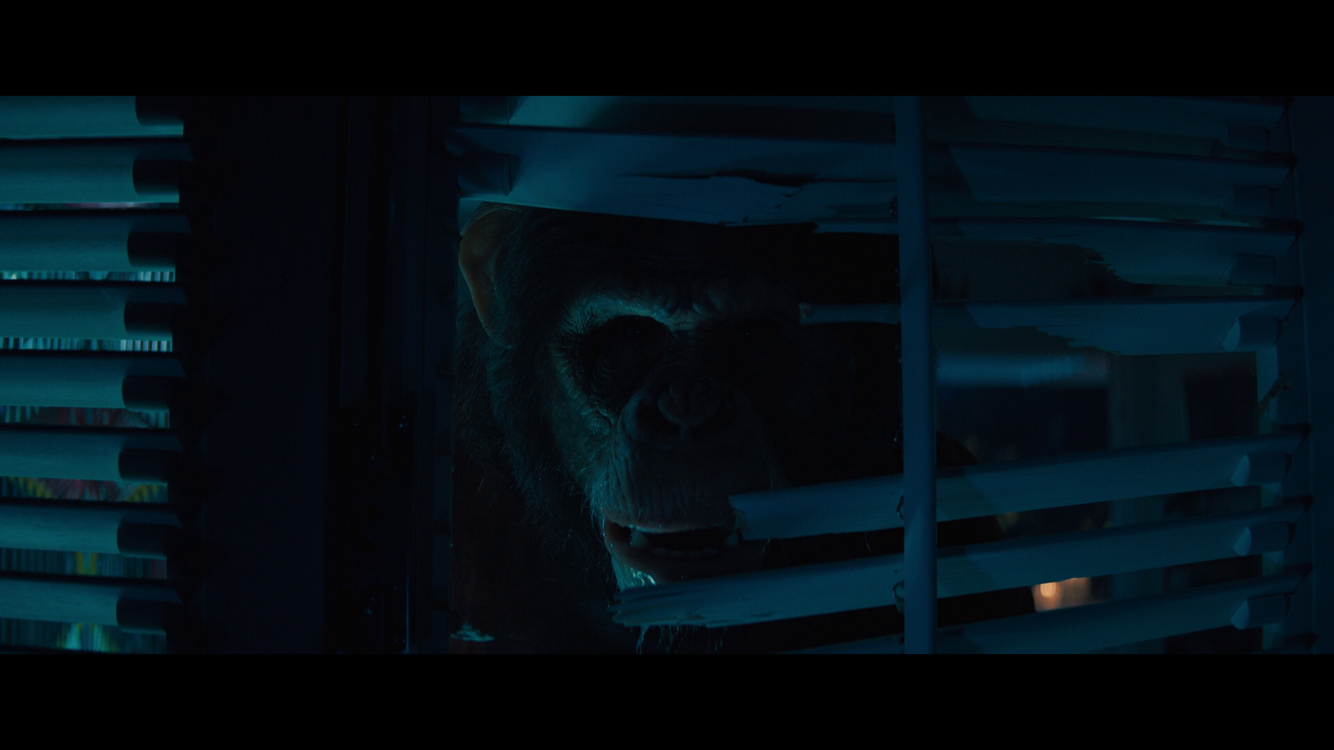 Primate Blu-ray Review