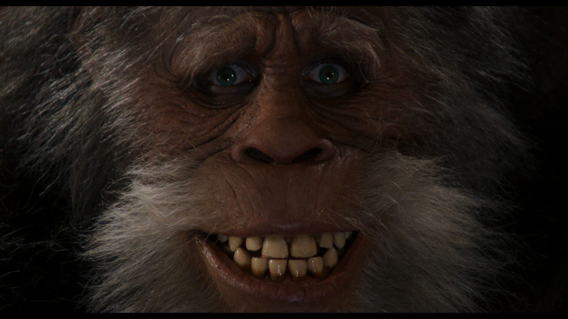 Harry and the Hendersons 4K UHD Review
